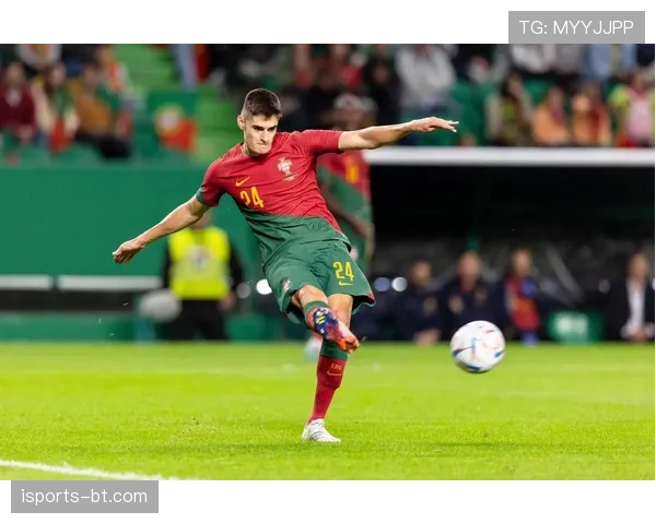 塔瓦雷斯：从本菲卡青训到英超的生涯轨迹解析