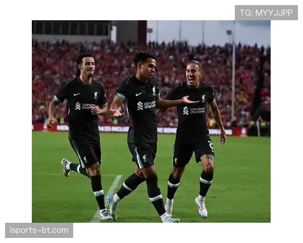 恩佐 vs 麦卡利斯特：世界杯中场组织与防守贡献对比